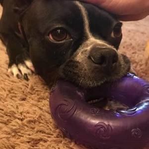 Meet your Posher, Renee